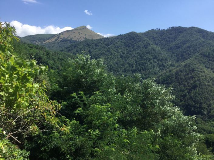 Image No.10-1 Bed Semi-Detached for sale