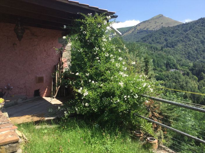 Image No.3-1 Bed Semi-Detached for sale