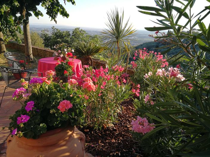 Image No.3-Maison de 4 chambres à vendre à Pistoia