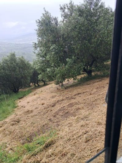 Image No.14-Propriété à vendre à Colonnella