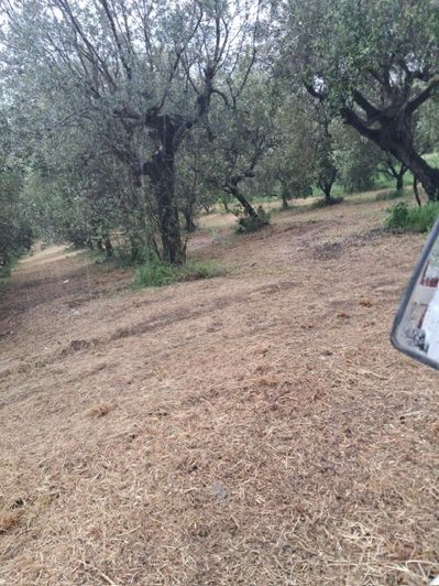 Image No.15-Propriété à vendre à Colonnella