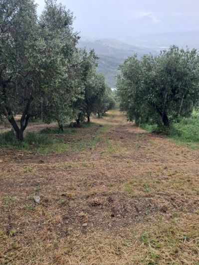 Image No.16-Propriété à vendre à Colonnella