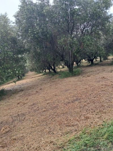 Image No.2-Propriété à vendre à Colonnella