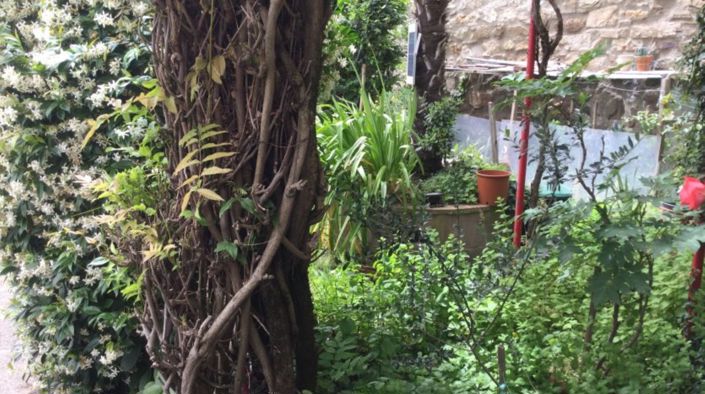 Image No.15-Maison de 3 chambres à vendre à San Marcello Pistoiese