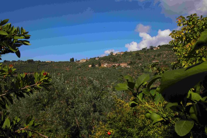 Image No.3-Propriété de 3 chambres à vendre à Vinci