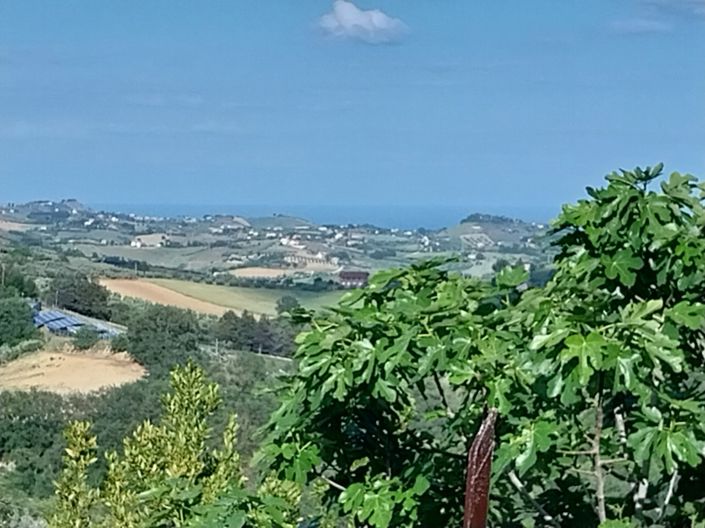 Image No.2-Propriété de 3 chambres à vendre à Castorano