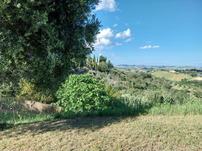 Image No.3-Propriété de 3 chambres à vendre à Castorano