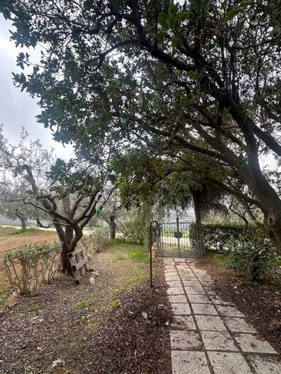 Image No.11-Propriété de 9 chambres à vendre à Cupra Marittima