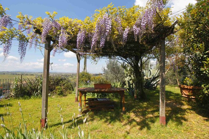 Image No.2-Maison de 2 chambres à vendre à Empoli