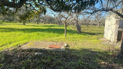 5489-san-vito-dei-normanni-8