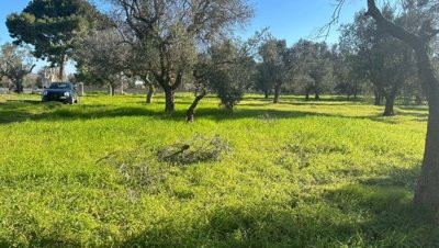 5489-san-vito-dei-normanni-9