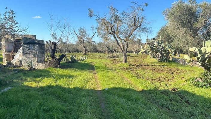 Image No.13-Propriété de 2 chambres à vendre à Brindisi