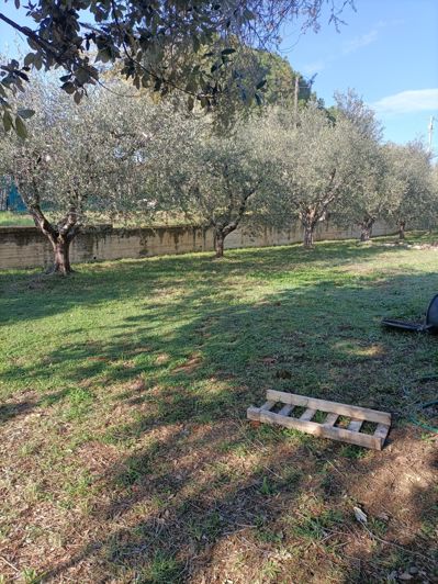 Image No.14-Propriété de 5 chambres à vendre à Monteprandone