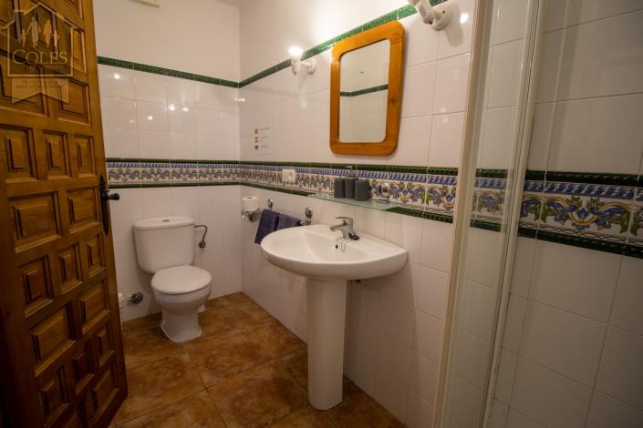 Image No.43-7 Bed Cortijo for sale