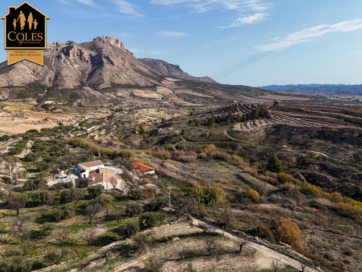 Image No.51-Cortijo de 7 chambres à vendre à Velez Blanco