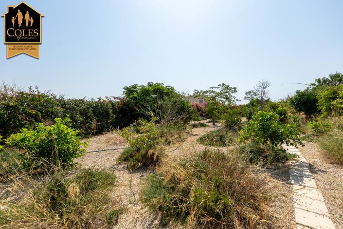 Image No.33-4 Bed Cortijo for sale