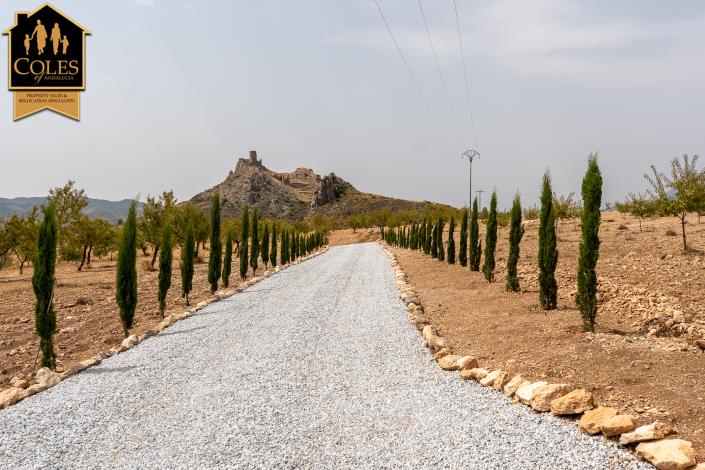 Image No.54-5 Bed Cortijo for sale