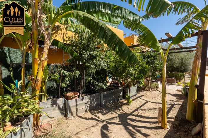 Image No.24-3 Bed Villa for sale