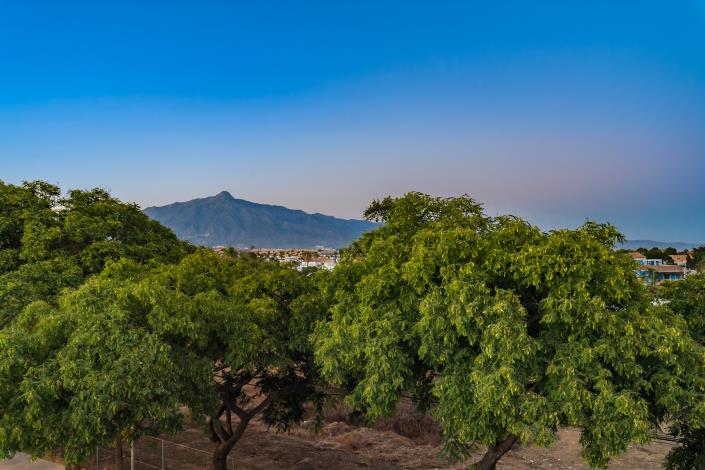 Image No.21-4 Bed Villa / Detached for sale