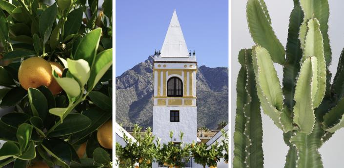 Image No.30-3 Bed Penthouse for sale