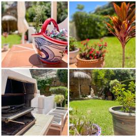 8-e64a9055bba3e77ac8aca3b893cdf826