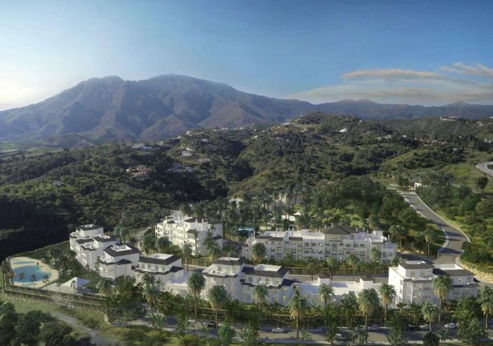 Image No.12-2 Bed Duplex for sale