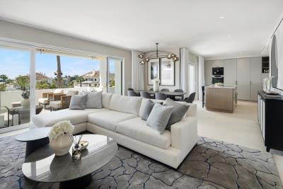 spca_visual_marbella_V9A4161