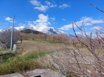 Screenshot_20220404-143148_Facebook