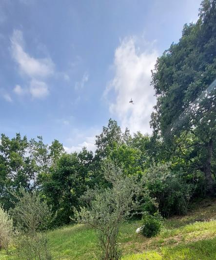 Image No.24-3 Bed Villa / Detached for sale