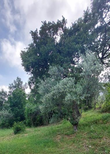 Image No.35-3 Bed Villa / Detached for sale