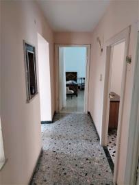 IMG-20220831-WA0036-11