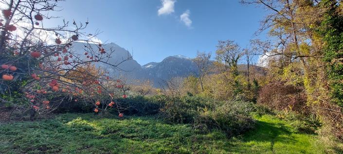 Image No.28-2 Bed Country Property for sale