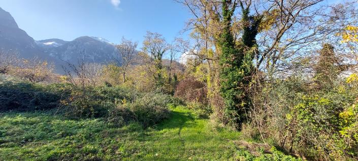 Image No.29-2 Bed Country Property for sale