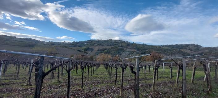 Image No.6-Country House for sale