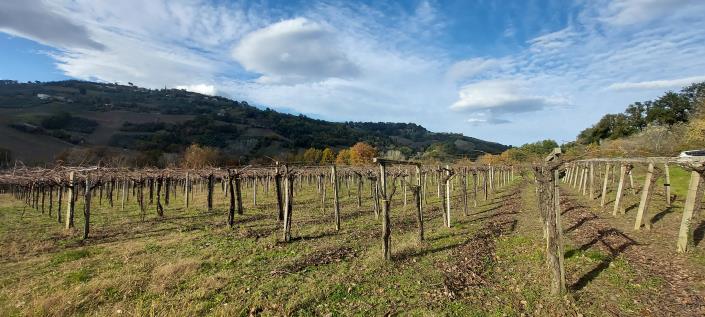 Image No.10-Country House for sale