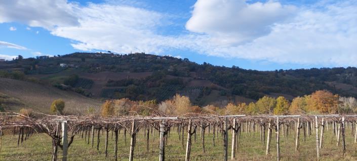 Image No.12-Country House for sale