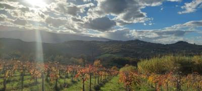 1 - Vacri, Country House