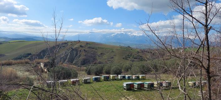 Image No.15-Country Property for sale