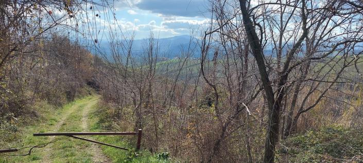 Image No.5-Country Property for sale