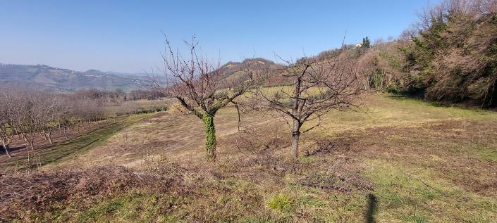 Image No.28-2 Bed Country Property for sale