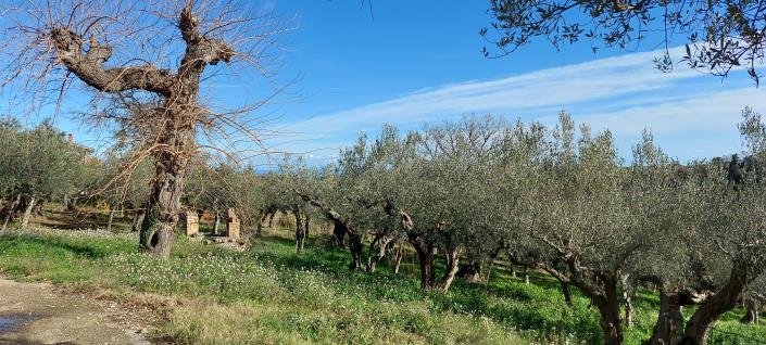 Image No.24-2 Bed Country Property for sale