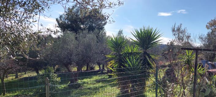 Image No.23-2 Bed Country Property for sale