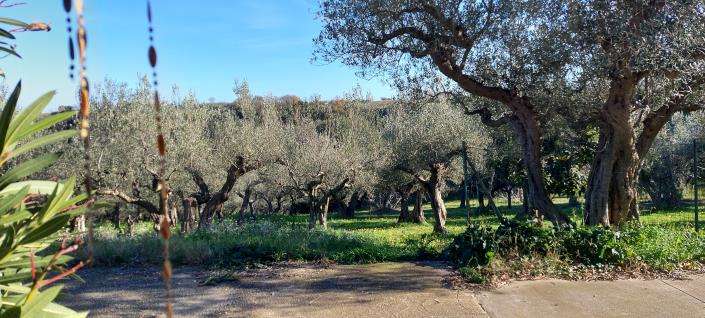 Image No.28-2 Bed Country Property for sale