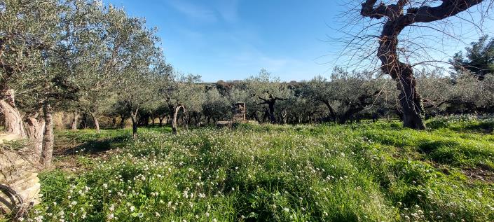 Image No.29-2 Bed Country Property for sale