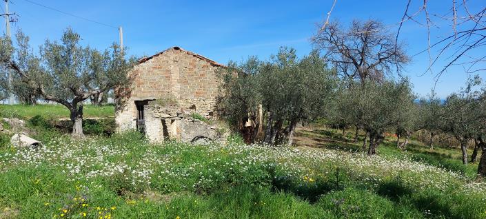 Image No.20-2 Bed Country Property for sale