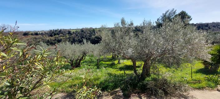 Image No.19-2 Bed Country Property for sale