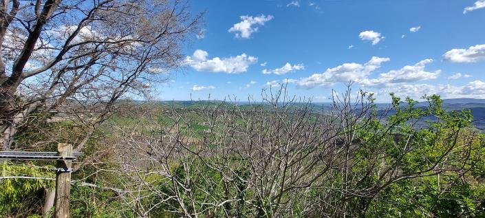 Image No.10-1 Bed Townhouse for sale