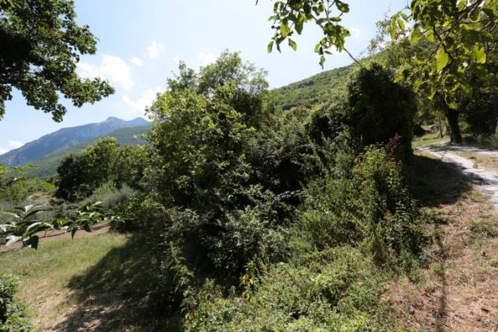 Image No.23-2 Bed Country Property for sale