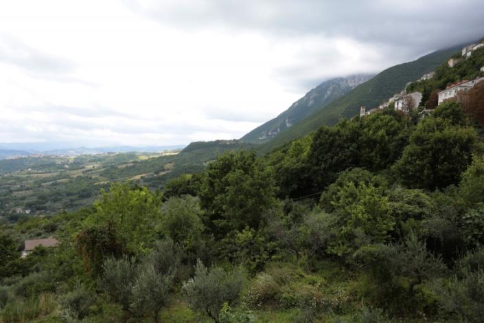 Image No.24-2 Bed Country Property for sale