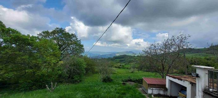 Image No.48-5 Bed Country Property for sale